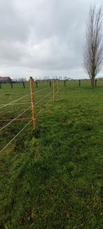 Weide met stal te huur / weidemaatje gezocht, Dieren en Toebehoren, Schapen, Geiten en Varkens