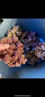 Real Reef Rock, Dieren en Toebehoren, Ophalen, Gebruikt, Plant(en), Steen of Hout