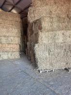 platte balen 120/70 en 120/90 + ronde balen hooi, Enlèvement ou Envoi