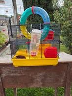 Cage hamster complète L 40cm h 35cm (51) P 28cm, Ophalen, Zo goed als nieuw, Kooi, Hamster
