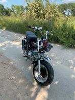 Dax tekoop, in nieuwe staat, Fietsen en Brommers, Brommers | Honda, Overige modellen, Nieuw, Ophalen of Verzenden, Klasse B (45 km/u)