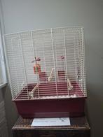 Vogelkooi, Dieren en Toebehoren, Ophalen of Verzenden