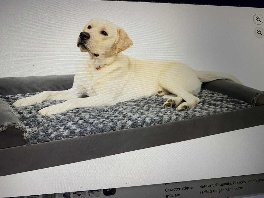 Coussin orthopédique pour grands chiens, Animaux & Accessoires, Accessoires pour chiens, Neuf, Enlèvement ou Envoi