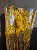 Droogbloemen geel, Maison & Meubles, Accessoires pour la Maison | Fleurs séchées, Comme neuf, Enlèvement