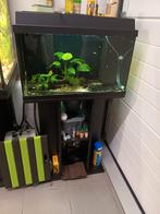 Juwel aquarium met visjes en toebehoren, Ophalen, Gebruikt