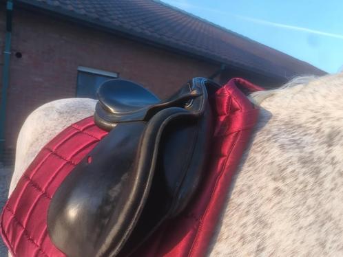 Mooi onderhouden prestige zadel veelzijdigheid, Dieren en Toebehoren, Paarden en Pony's | Zadels, Zo goed als nieuw, Recreatie