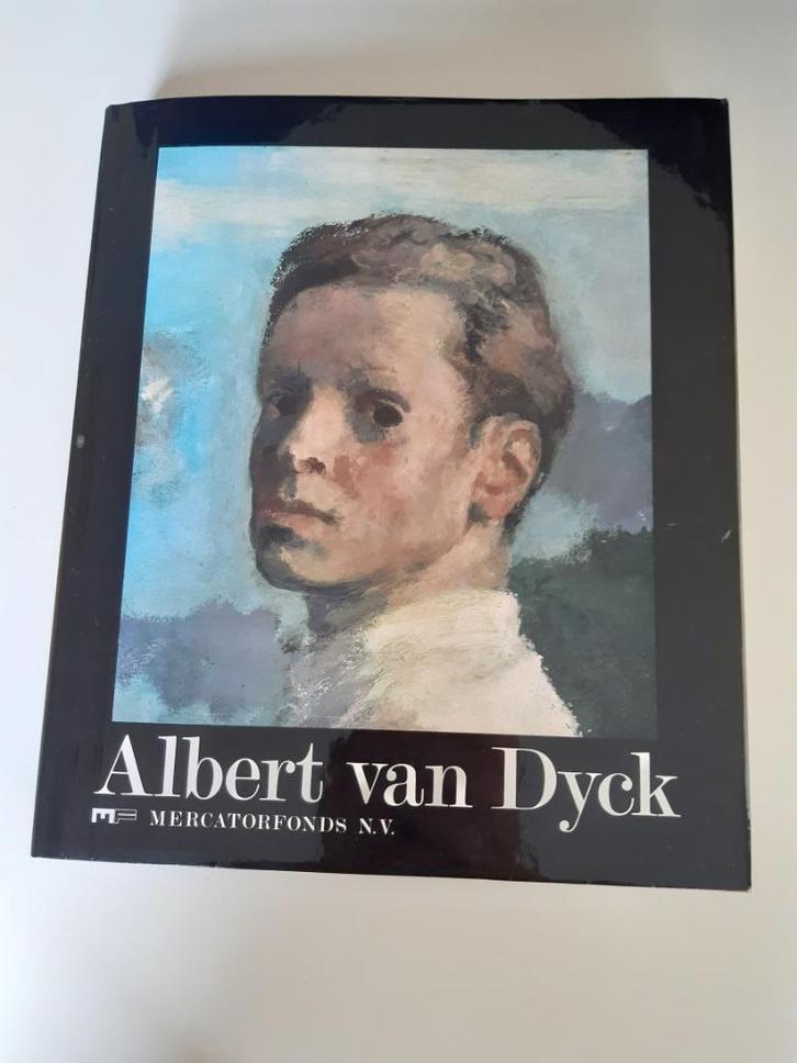 Kunstboek over "Albert van Dyck", Livres, Art & Culture | Arts plastiques, Neuf, Peinture et dessin, Enlèvement ou Envoi