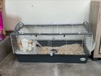 Lapin + cage + nourriture, Animaux & Accessoires, Cage, Lapin