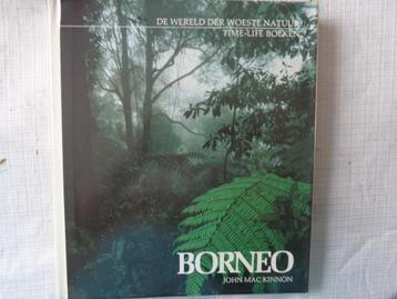 John Mc Kinnon  BORNEO beschikbaar voor biedingen