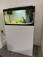 Aquarium 54L, Dieren en Toebehoren, Ophalen, Gebruikt, Gevuld zoetwateraquarium