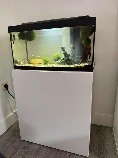 Aquarium 54L, Dieren en Toebehoren, Vissen | Aquaria en Toebehoren, Gebruikt, Gevuld zoetwateraquarium, Ophalen