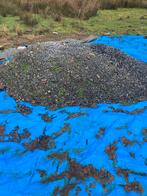 Gratis kiezel, Tuin en Terras, Vijvers, Ophalen, Zo goed als nieuw