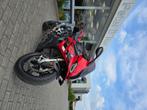 Bmw S1000RR, Motoren, Motoren | BMW, 4 cilinders, Particulier, Meer dan 35 kW, 999 cc