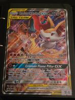 Pokemon oversized Jumbo Kaarten, Enlèvement, Comme neuf, Plusieurs cartes, Foil