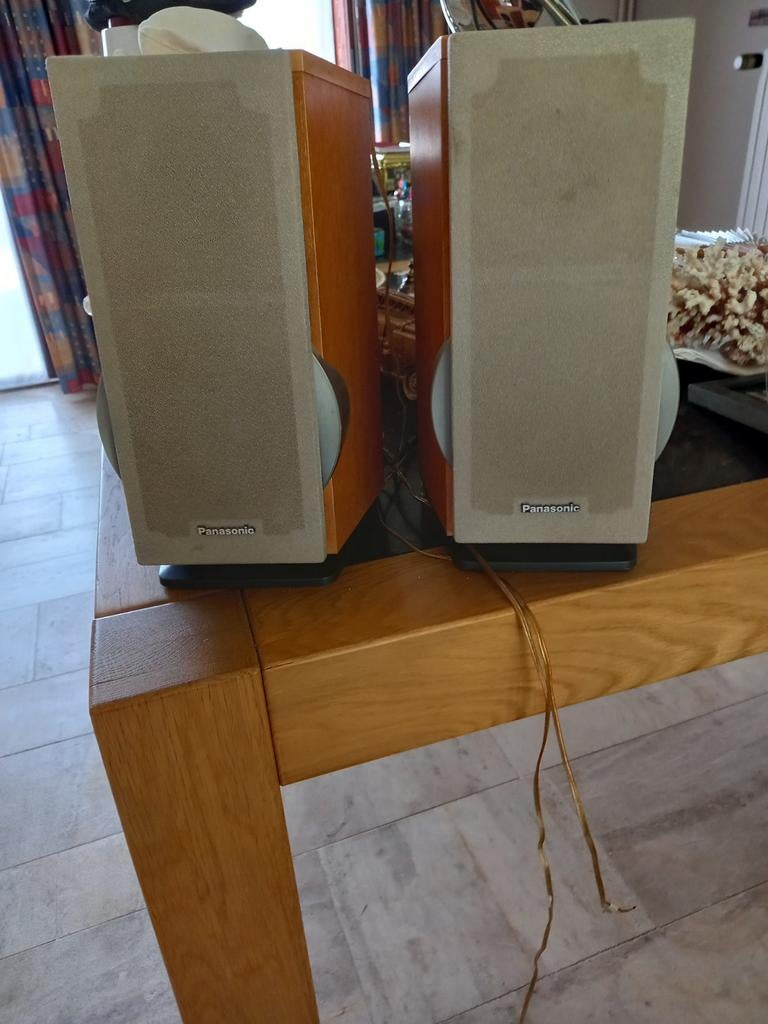 Boxen Panasonic  2 stuks, Computers en Software, Pc speakers, Ophalen of Verzenden, Zo goed als nieuw