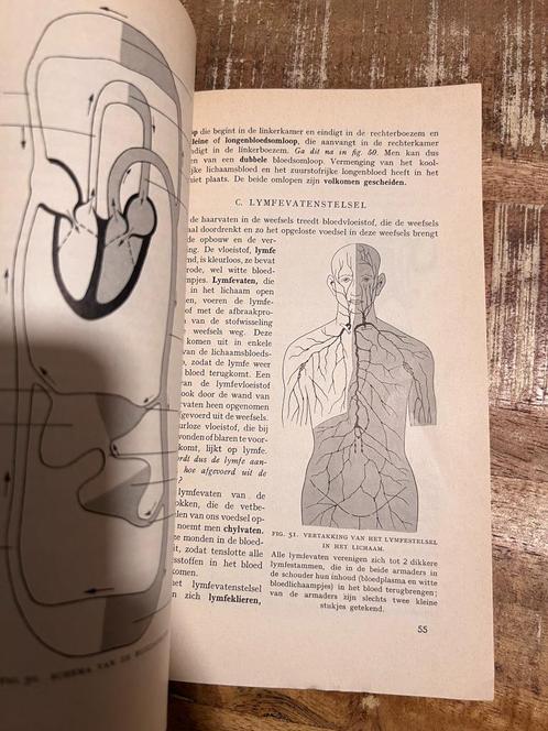 Leerboek der dierkunde, IA De Mens - De Gaay/ Heidinga, Boeken, Schoolboeken, Gelezen, Natuurkunde, Ophalen of Verzenden
