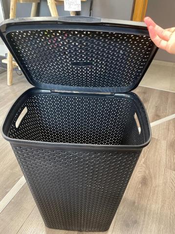 Mand  beschikbaar voor biedingen