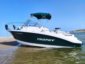Mooie sportvisboot Bayliner Trophy 4.3 v6, 3 à 6 mètres, Enlèvement, Utilisé, Polyester