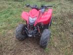 Bon vieux quad DINLI (Massai) 50cc pour ados