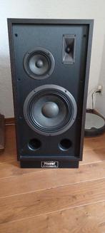 magnat transpuls 1000 luidsprekers, Ophalen, Zo goed als nieuw, Front, Rear of Stereo speakers, Magnat