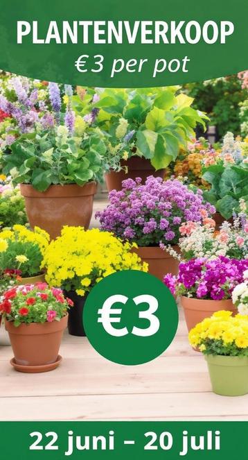 Plantenverkoop De volgende zondagen beschikbaar voor biedingen