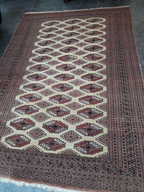 Grand tapis pakistanais Boukhara - Nouveau prix, Maison & Meubles, Ameublement | Tapis & Moquettes, Utilisé, 150 à 200 cm, 200 cm ou plus