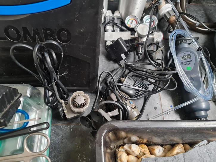 Goede koop, Dieren en Toebehoren, Vissen | Aquaria en Toebehoren, Ophalen