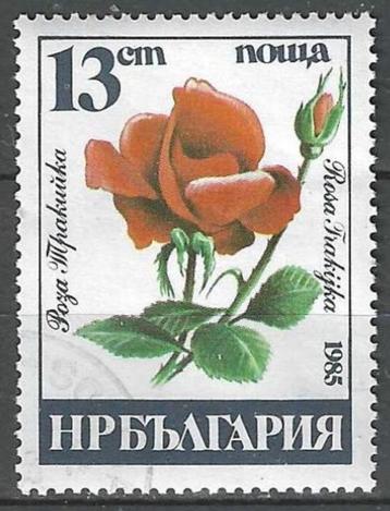 Bulgarije 1986 - Yvert 2930 - Trakijka roos (ST)