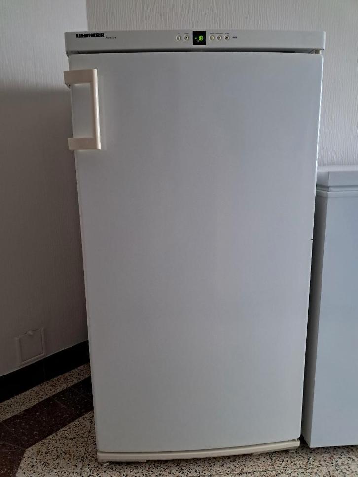diepvrieskast Liebherr Premium, Electroménager, Congélateurs, Utilisé, Autoportant, Congélateur, Congélateur, 120 à 140 cm, 60 à 90 cm