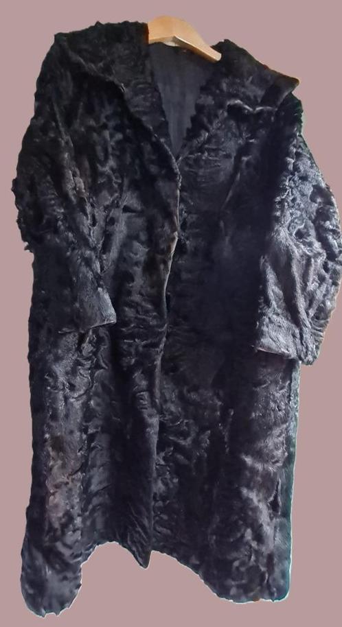 Veste karakul vintage pour femme Fourrures Barzin Rome Liège, Vêtements | Femmes, Vestes | Hiver, Porté, Taille 38/40 (M), Noir