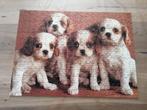 Puzzel 280 stukken Spaniel Puppies, Ophalen