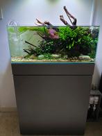 Aquarium ADA 60F + meuble ADA, Dieren en Toebehoren, Ophalen, Gebruikt