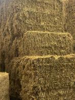 Hooi, Dieren en Toebehoren, Ophalen