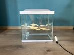 Aquarium 30 L avec la lampe, Dieren en Toebehoren, Ophalen of Verzenden, Zo goed als nieuw, Leeg aquarium