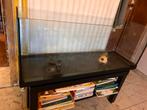 Aquarium 110L + gravier + pompe + accessoires, Animaux & Accessoires, Poissons | Aquariums & Accessoires, Enlèvement, Utilisé