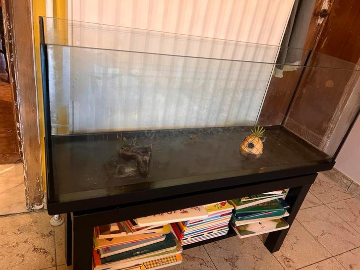 Aquarium 110L + gravier + pompe + accessoires, Animaux & Accessoires, Poissons | Aquariums & Accessoires, Utilisé, Enlèvement
