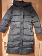 VESTE D'HIVER LONGUE GRIS-BLEU, Enlèvement ou Envoi, Neuf, Taille 36 (S), Autres couleurs