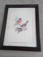 vintage houten kader met vogelprent in, Enlèvement ou Envoi, Comme neuf