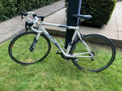 Racefiets GAINT OCR campagnolo maat 53, Fietsen en Brommers, Fietsen | Racefietsen, Zo goed als nieuw, Heren, Giant, Meer dan 20 versnellingen