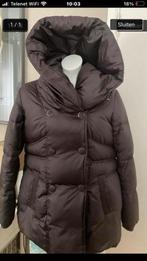 Bruine degelijke jas in nieuwstaat maat L, Kleding | Dames, Jassen | Winter, Ophalen of Verzenden, Zo goed als nieuw, Maat 42/44 (L)