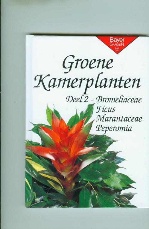 groene kamerplanten deel 2 bayer garden78 blz, Huis en Inrichting, Kamerplanten, Ficus, Ophalen of Verzenden