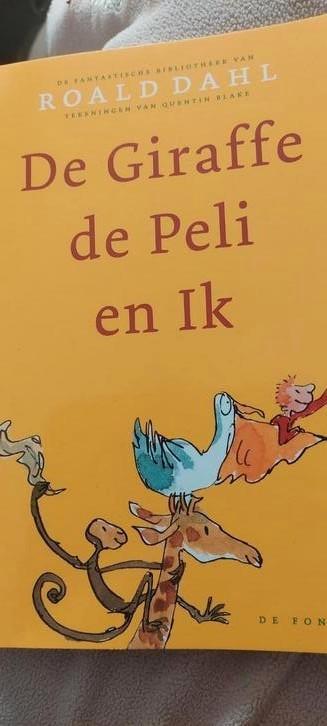 Klasbibliotheek groot lot boeken lager onderwijs beschikbaar voor biedingen