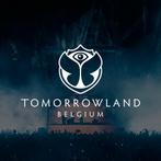 Tomorowland - W1 friday and W1 saturday day passes, Tickets & Billets, Trois personnes ou plus