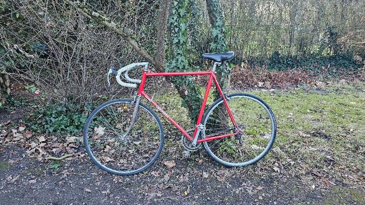 Schils vintage koersfiets (staal) – Shimano 600 – rood, Fietsen en Brommers, Fietsen | Heren | Sportfietsen en Toerfietsen, Gebruikt