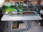 Terrarium 2 x in nieuwe staat, Ophalen of Verzenden