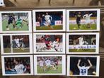 22 getekende foto's FC Zürich 2015-2017, Verzamelen, Ophalen of Verzenden, Nieuw, Poster, Plaatje of Sticker
