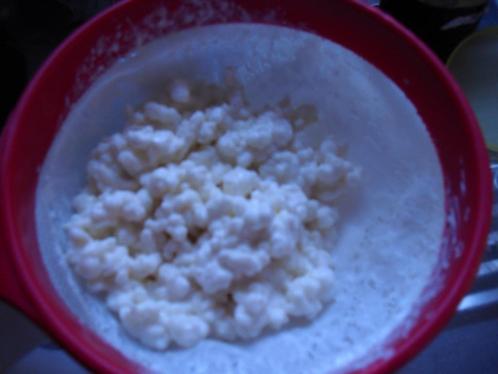 melkkefir - kefirbloemen om zelf kefir te maken / ook WATERK, Diversen, Levensmiddelen, Ophalen