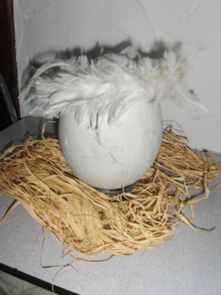 Pasen   deco   allerlei (verzenden kan ook), Diversen, Pasen, Zo goed als nieuw, Ophalen