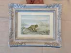 Aquarelle grenouille, Antiquités & Art, Enlèvement ou Envoi