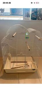 Cache oiseaux, Animaux & Accessoires, Oiseaux | Cages & Volières, Enlèvement